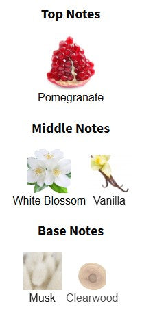 Afnan Exotic Paradise Rue Broca EDP