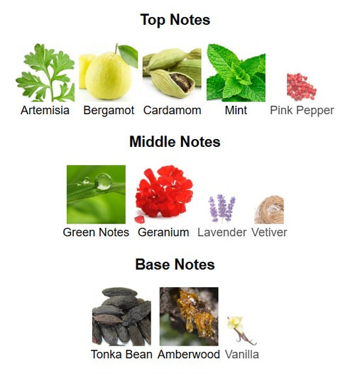 Anfar Odyssee III 1950 Extrait de Parfum