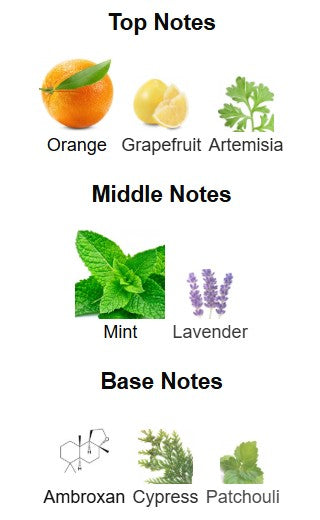 Armaf Odyssey Aqua EDP