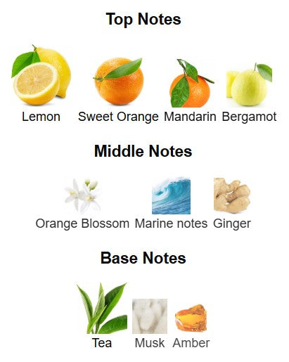 Armaf Odyssey Limoni Fresh EDP