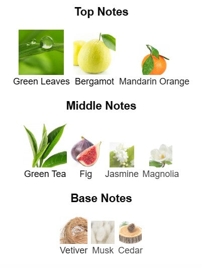 Banana Republic 78 Vintage Green EDP