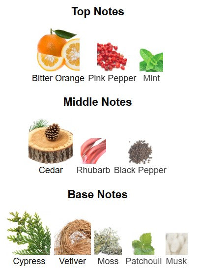 Banana Republic Cypress Cedar EDP