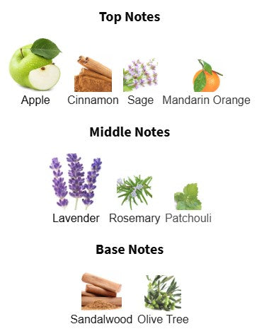 Boss Bottled Infinite EDP