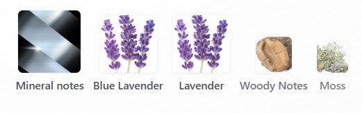 Boss Bottled Striking Lavender EDP
