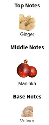 Boss The Scent Absolute EDP