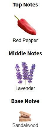 Boss The Scent Elixir Parfum