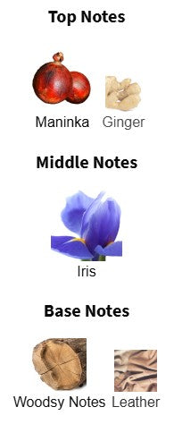 Boss The Scent Le Parfum