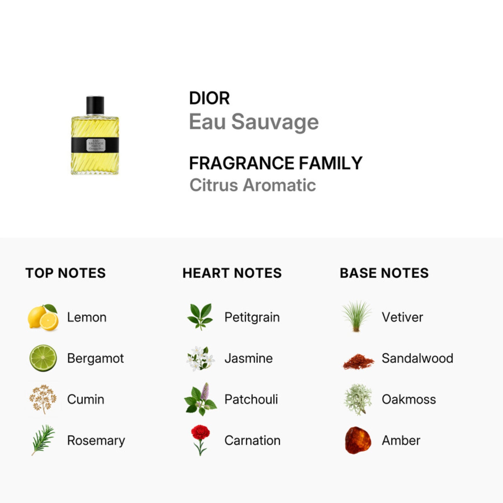 Dior Eau Sauvage Parfum 2017