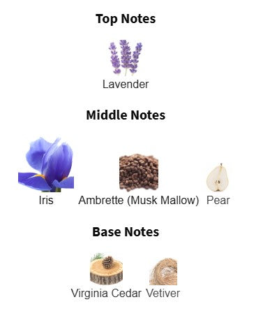 Dior Homme Intense EDP