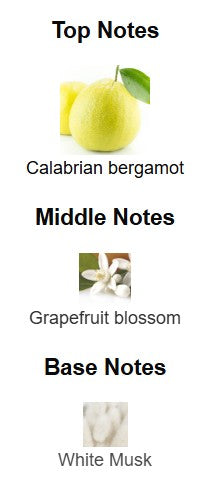 Dior Homme Cologne 2022 EDC