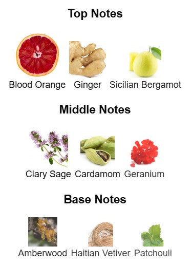 Dolce and Gabbana The One Gold Intense EDP