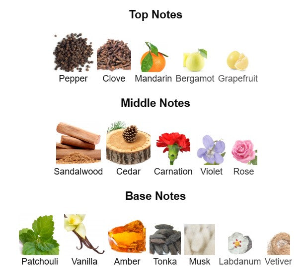 FOMO The Envy of FOMO Le Parfum