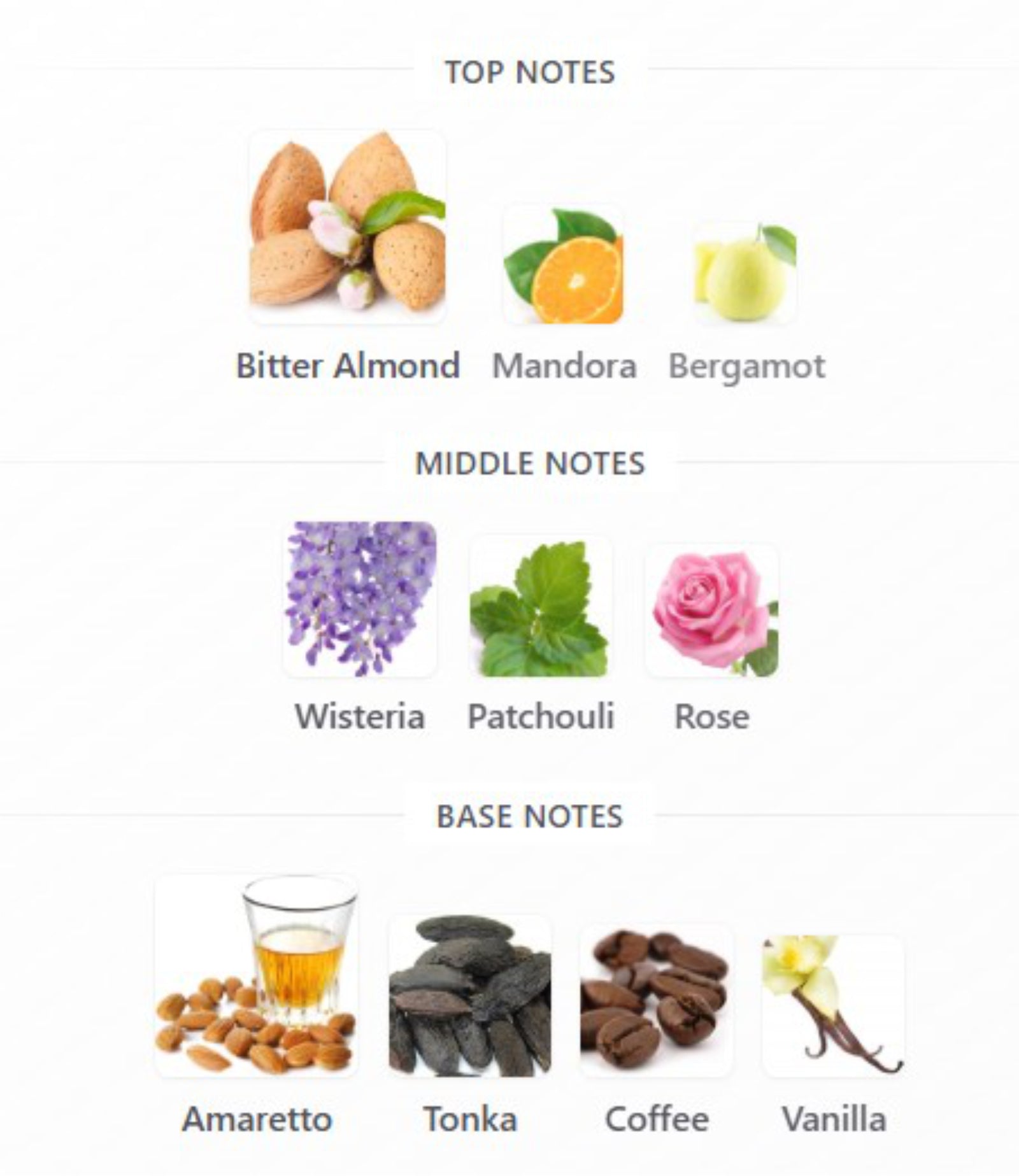 Gucci Ladies Guilty Absolu de Parfum Pour Femme