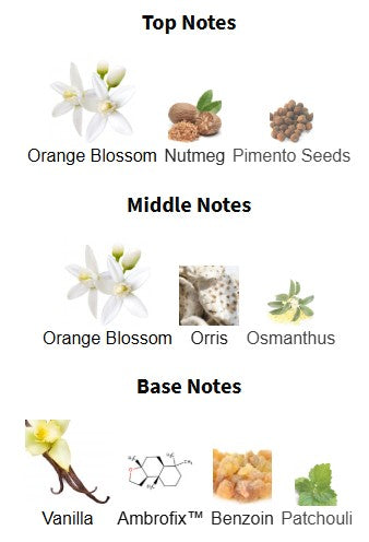 Gucci Guilty Elixir de Parfum Pour Homme