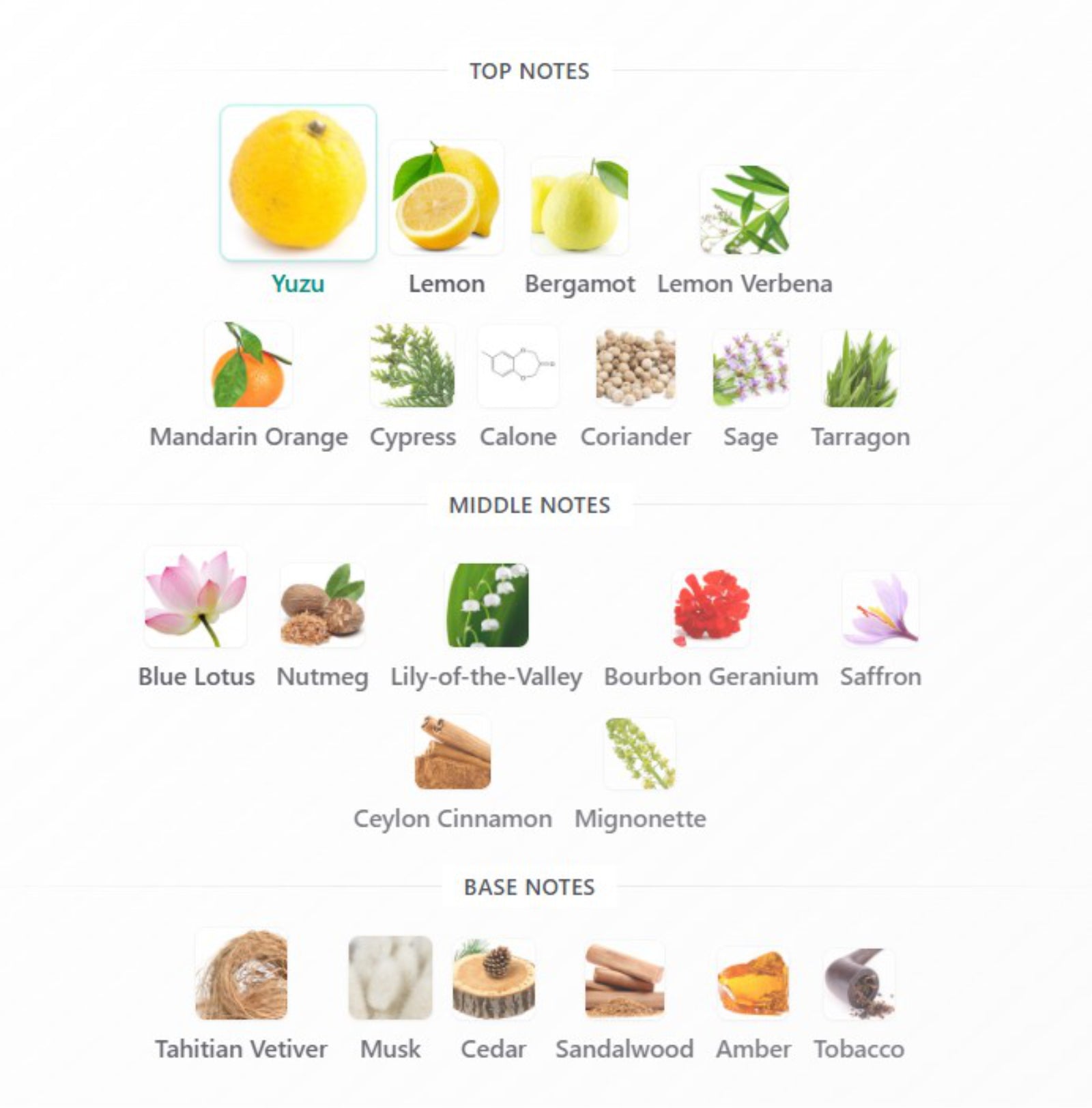 Issey Miyake L'Eau d'Issey Pour Homme EDT