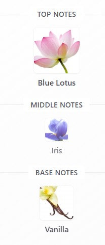 Jean Paul Gaultier La Belle Paradise Garden EDP