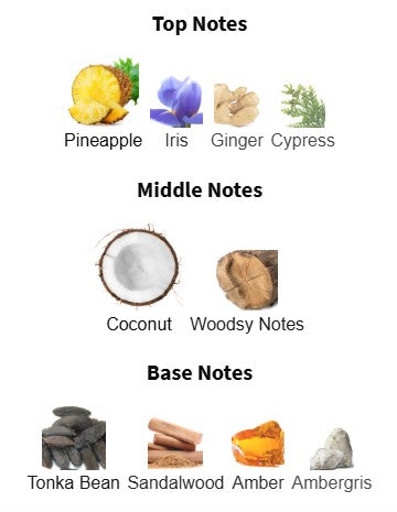 Jean Paul Gaultier Le Beau Le Parfum EDP