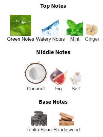 Jean Paul Gaultier Le Beau Paradise Garden EDP