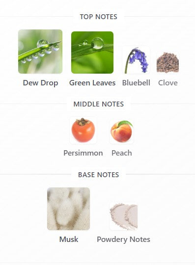 Jo Malone Wild Bluebell EDC