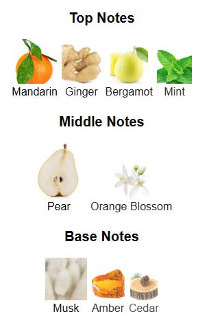 Lattafa Art of Universe EDP