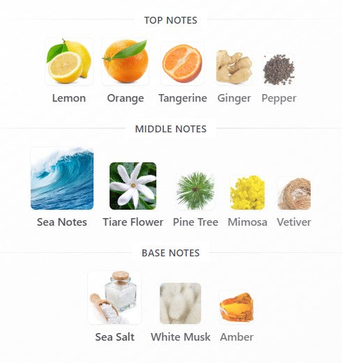 Mancera French Riviera EDP