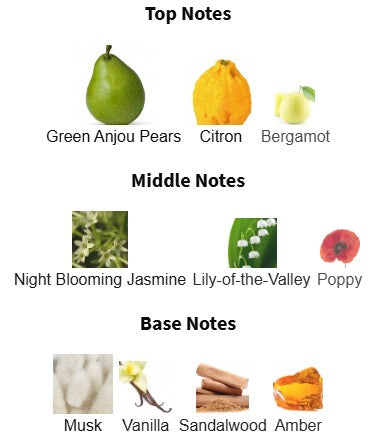 Michael Malul Citizen Jill EDP