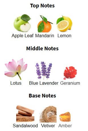 Michael Malul New Journalist EDP