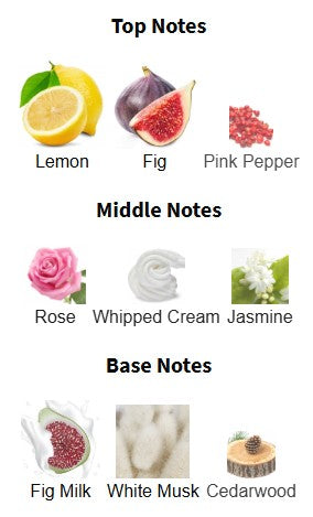 Paris Corner Fig Hug Perseviron EDP