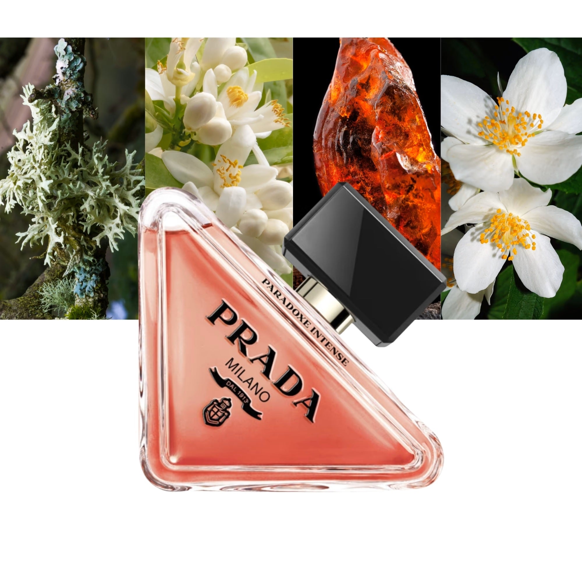 Prada Paradoxe Intense EDP