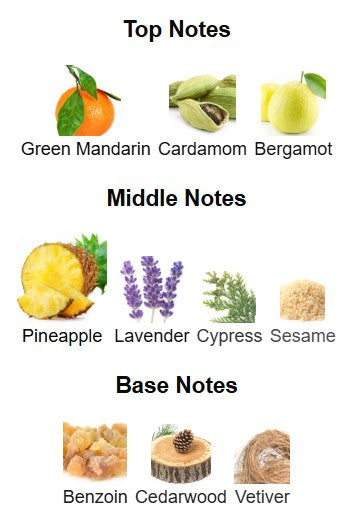 Ralph Lauren Polo 67 EDP