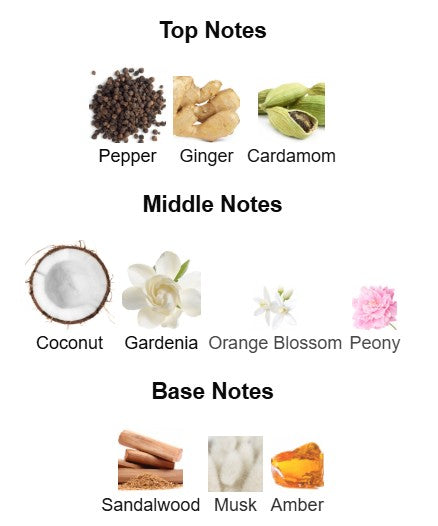 Versace Crystal Noir EDP