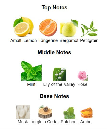 Xerjoff Renaissance EDP