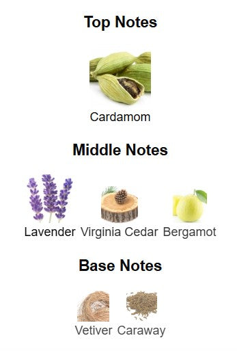 Yves Saint Laurent La Nuit De L’Homme EDT