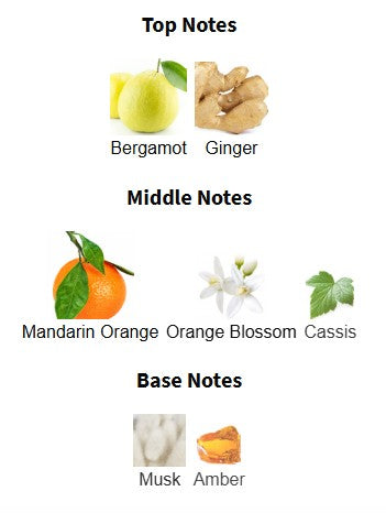 Zara Sunrise On The Red Sand Dunes EDP