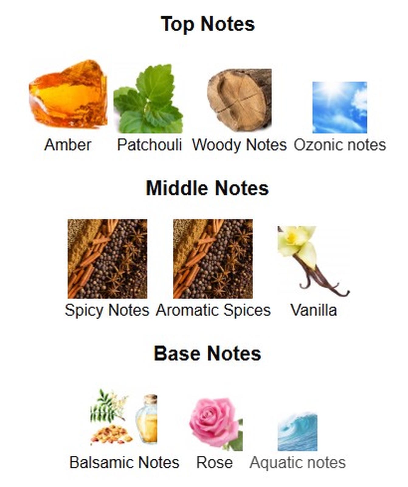 Afnan Turathi Brown EDP