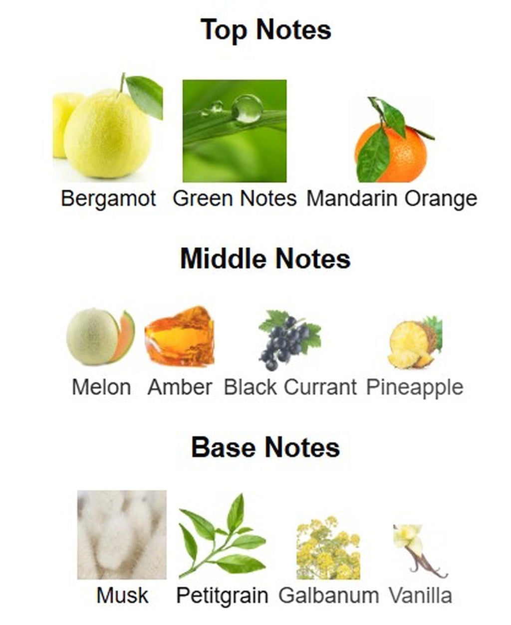 Al Haramain Amber Oud Aqua Dubai Extrait de Parfum