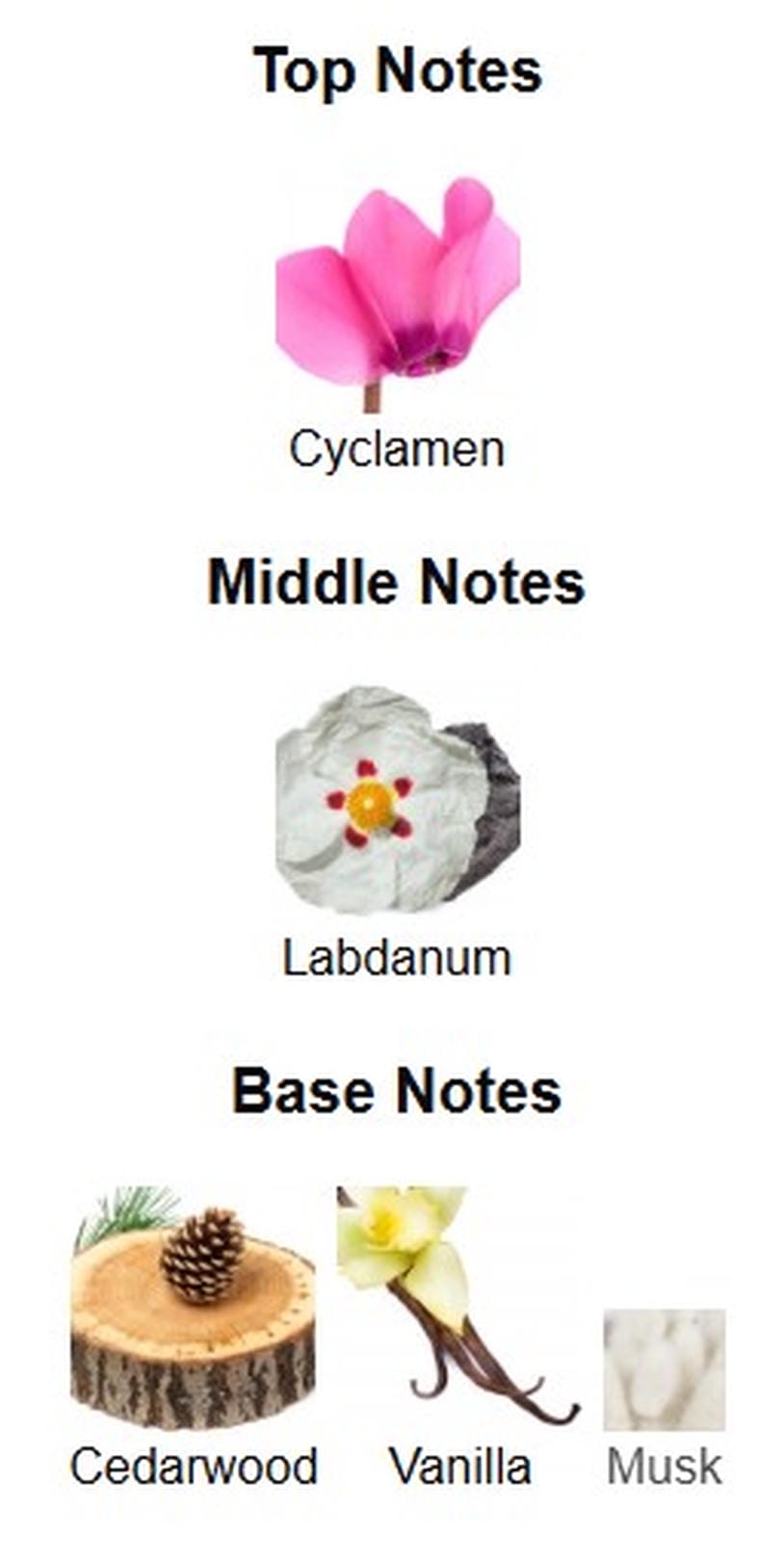 Arabiyat Prestige Fahad Regal EDP