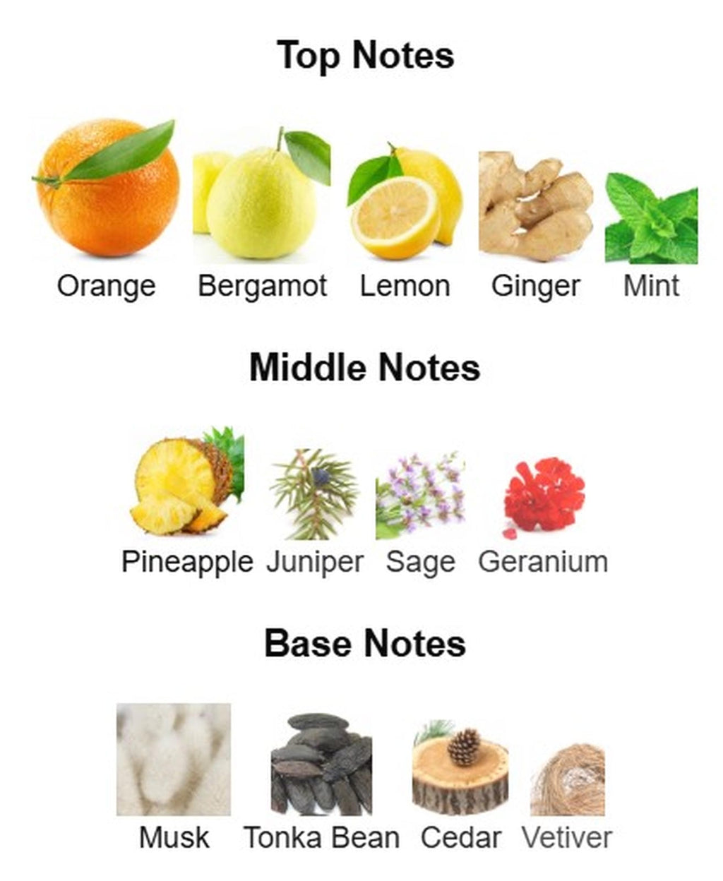 Armaf Odyssey Mega EDP