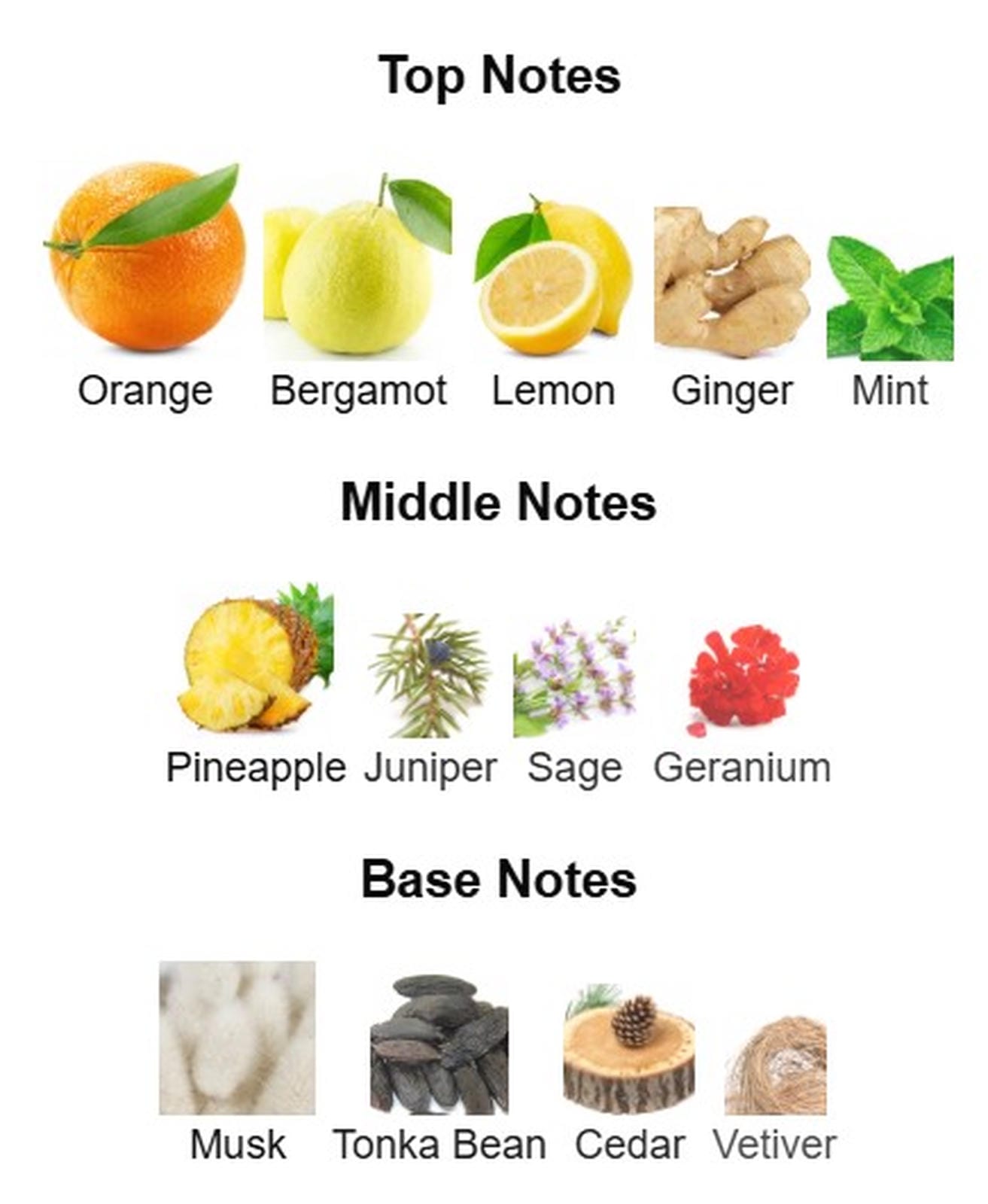 Armaf Odyssey Mega EDP