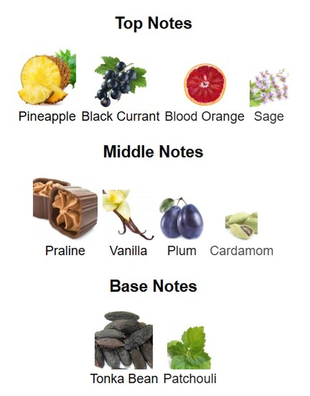 Armaf Odyssey Revolution EDP