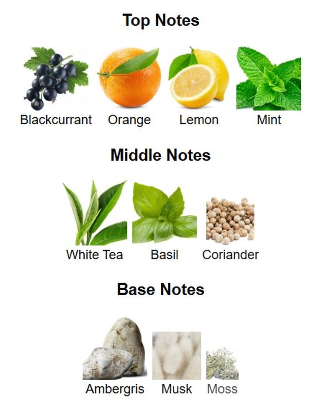 Atralia Absolute Chill EDP