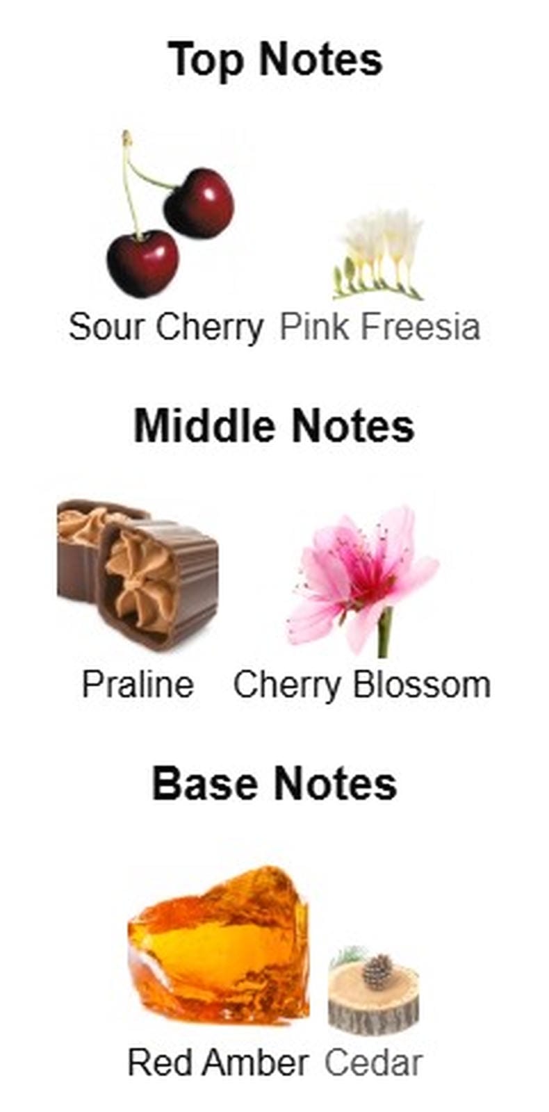 Banana Republic Dark Cherry and Amber EDP