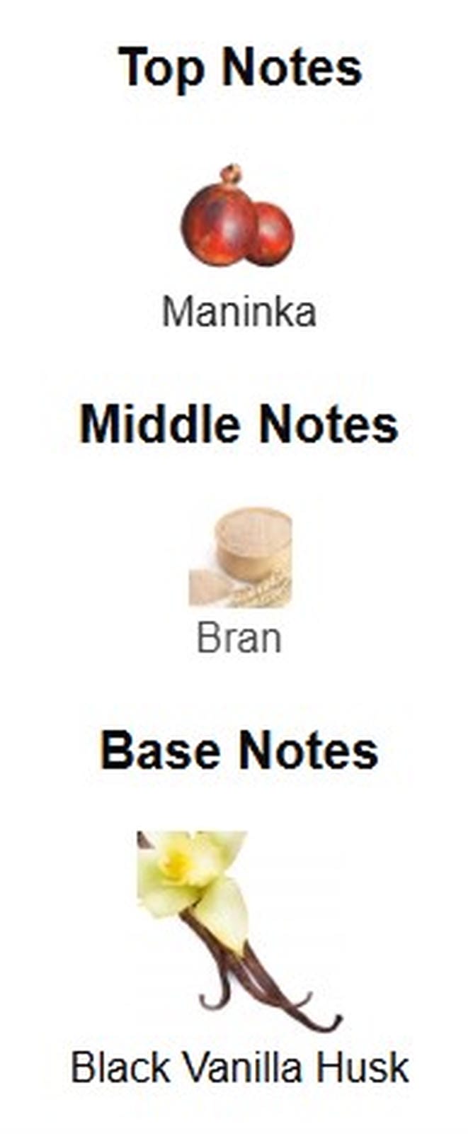 Boss The Scent Magnetic EDP