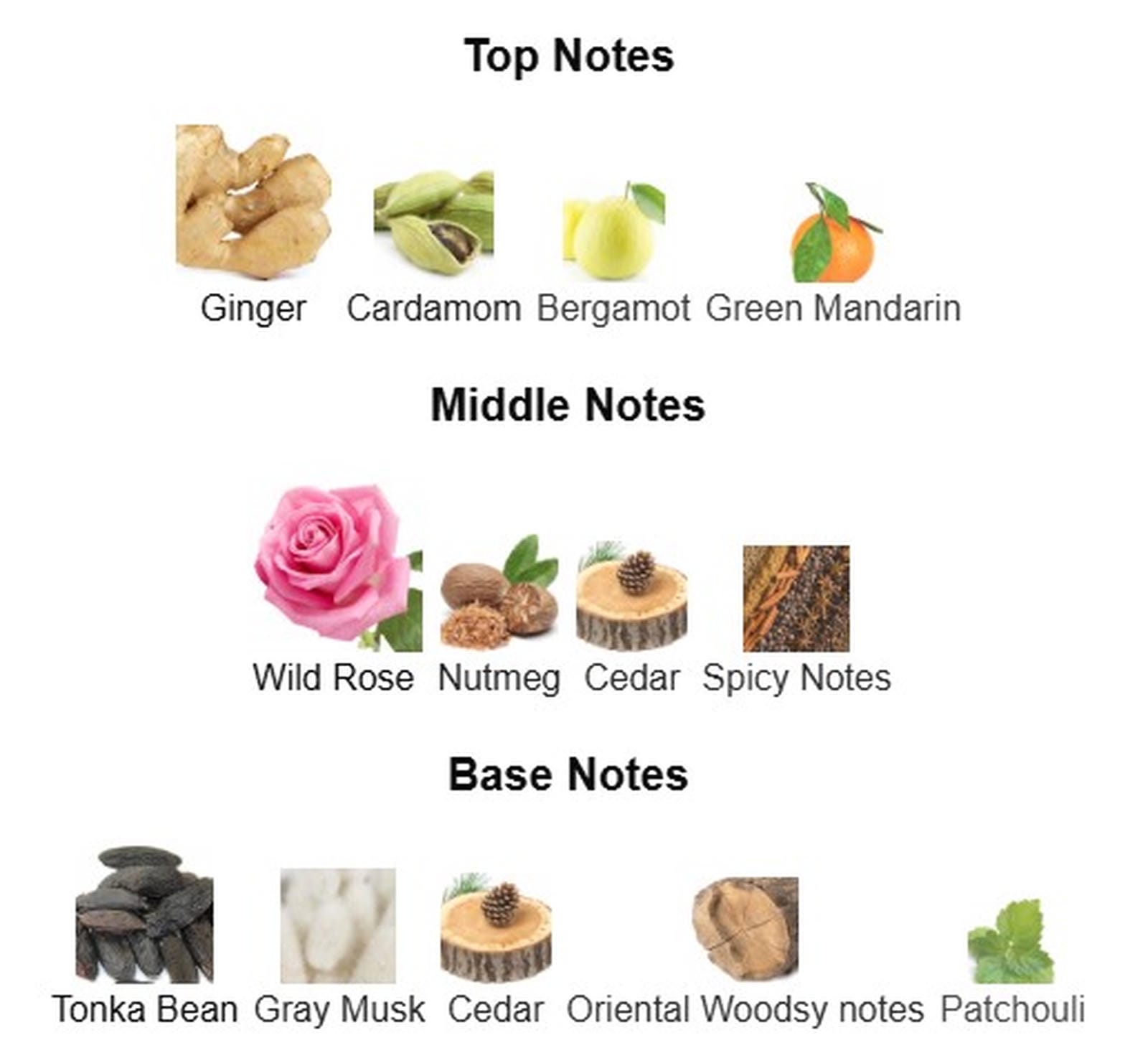 Burberry Brit for Him EDT