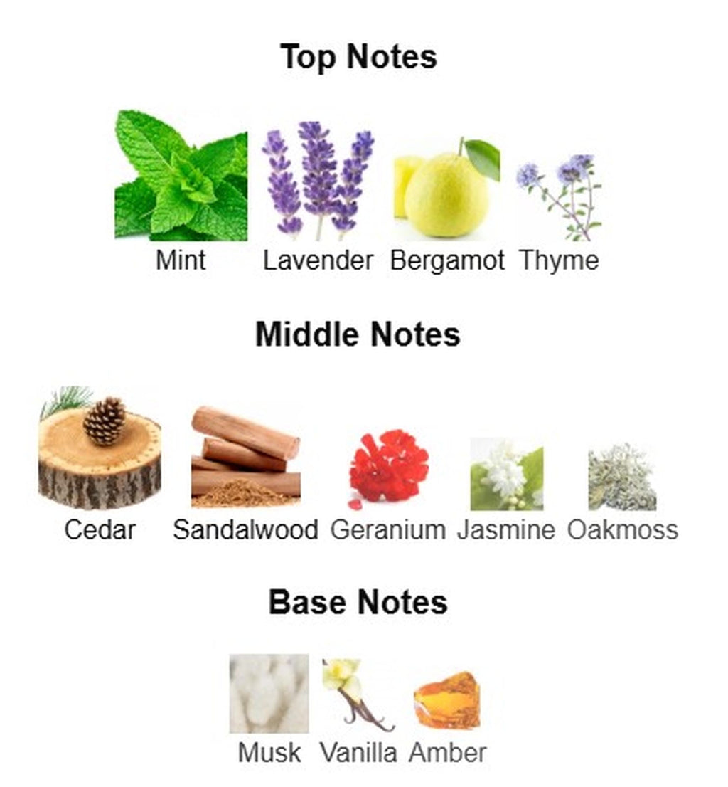 Burberry For Men EDT