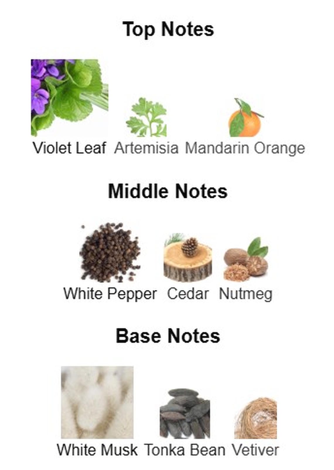 Burberry Touch For Men EDT