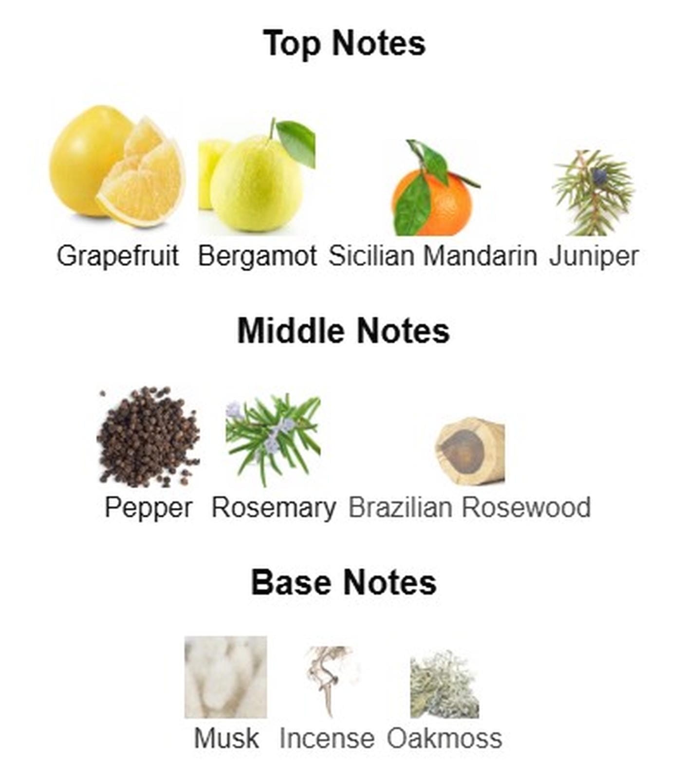 Dolce and Gabbana Light Blue EDT