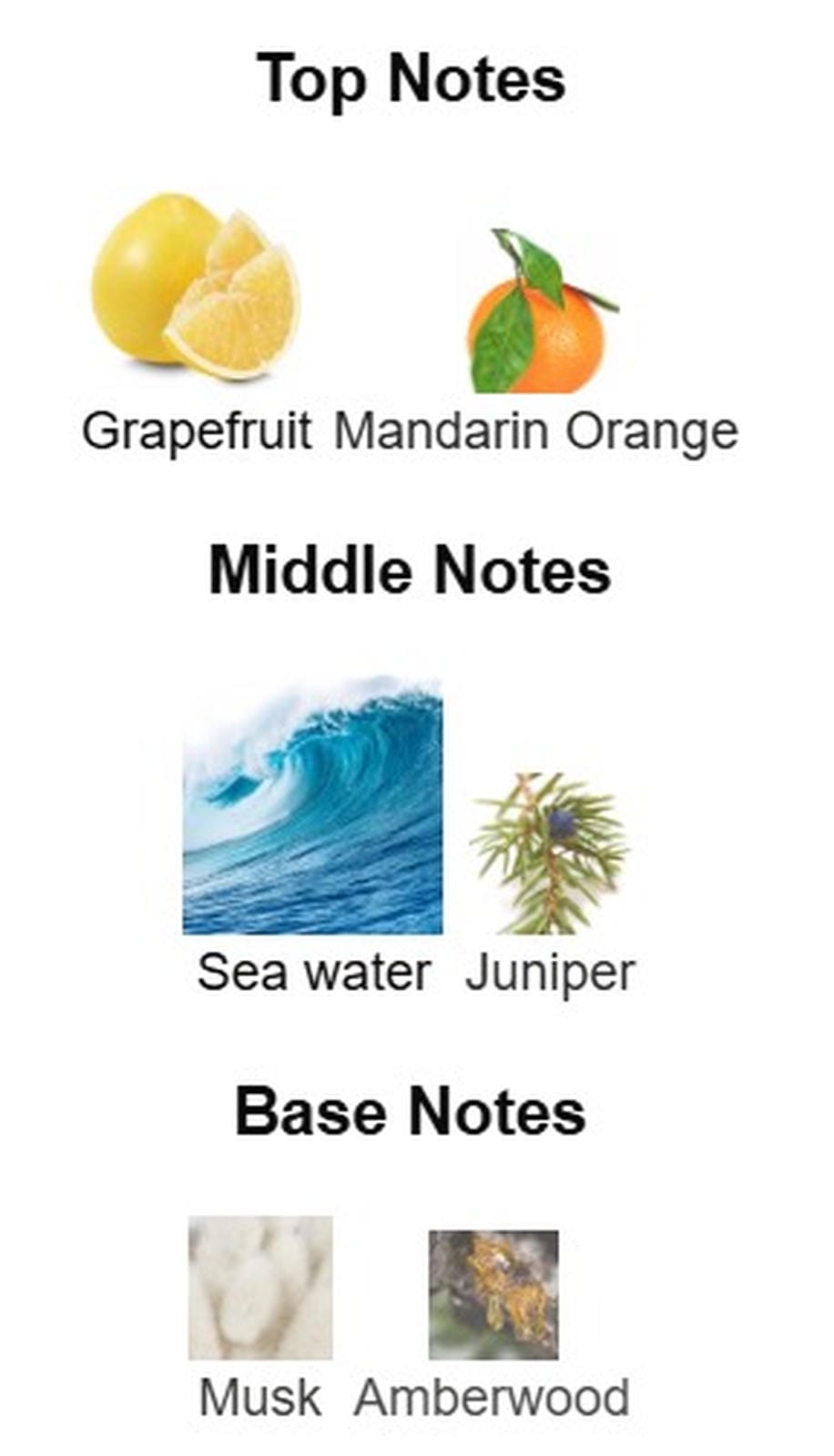 Dolce and Gabbana Light Blue Intense EDP