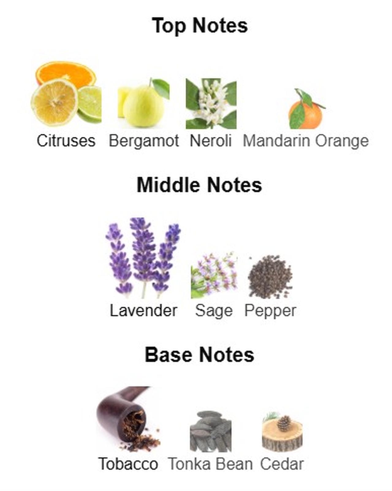 Dolce and Gabbana Pour Homme EDT