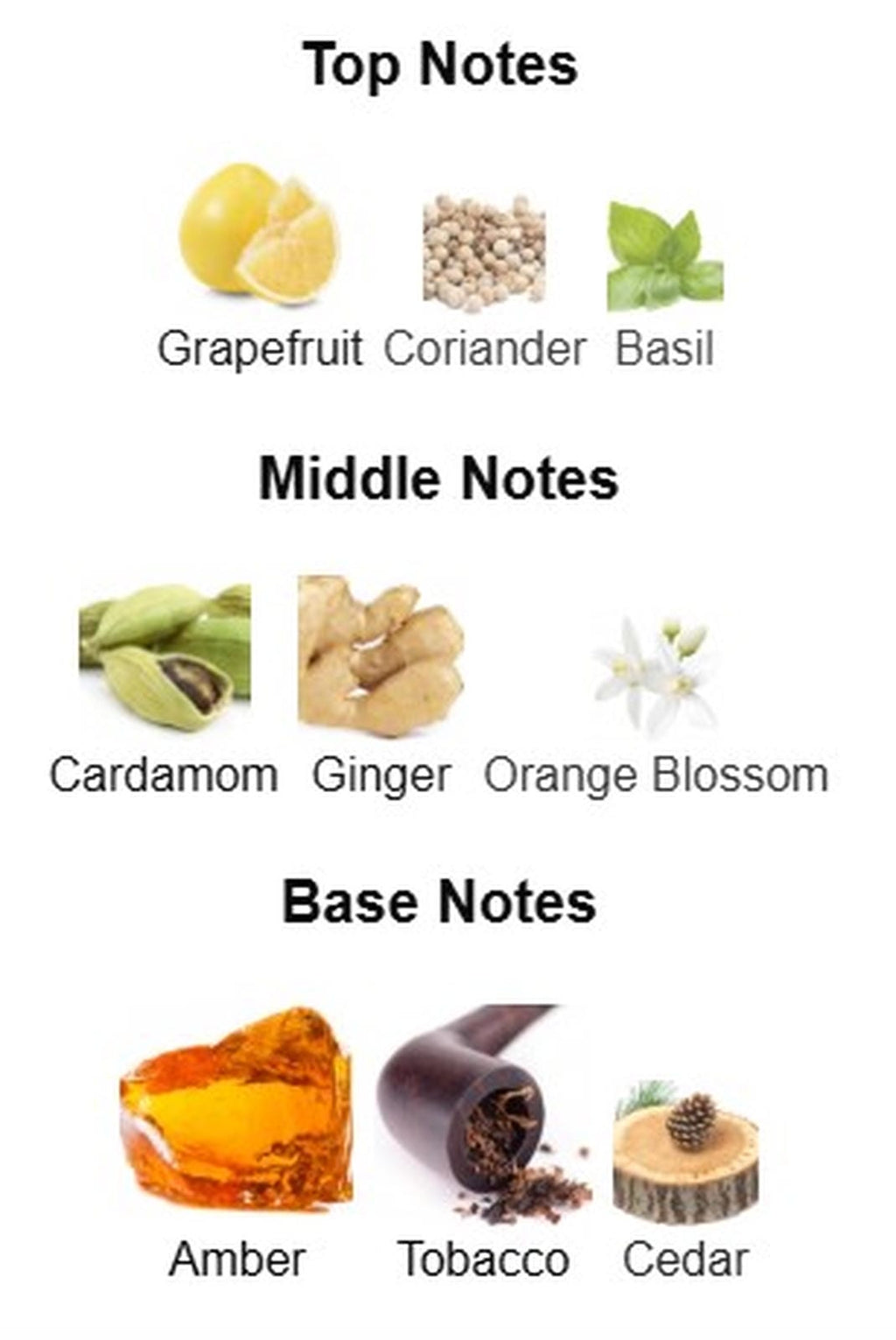 Dolce and Gabbana The One EDP